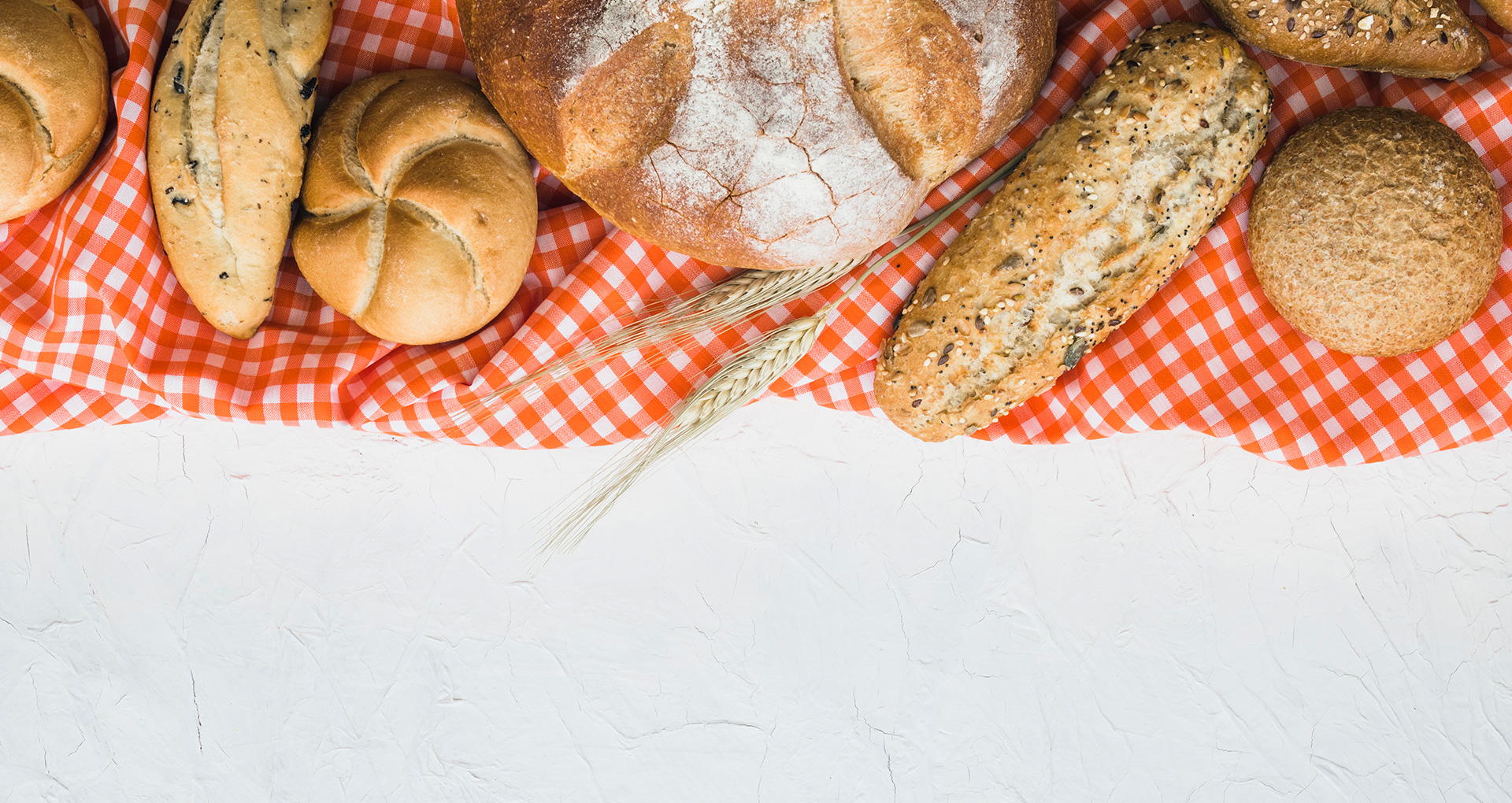 banner-grande-xadrez-paes